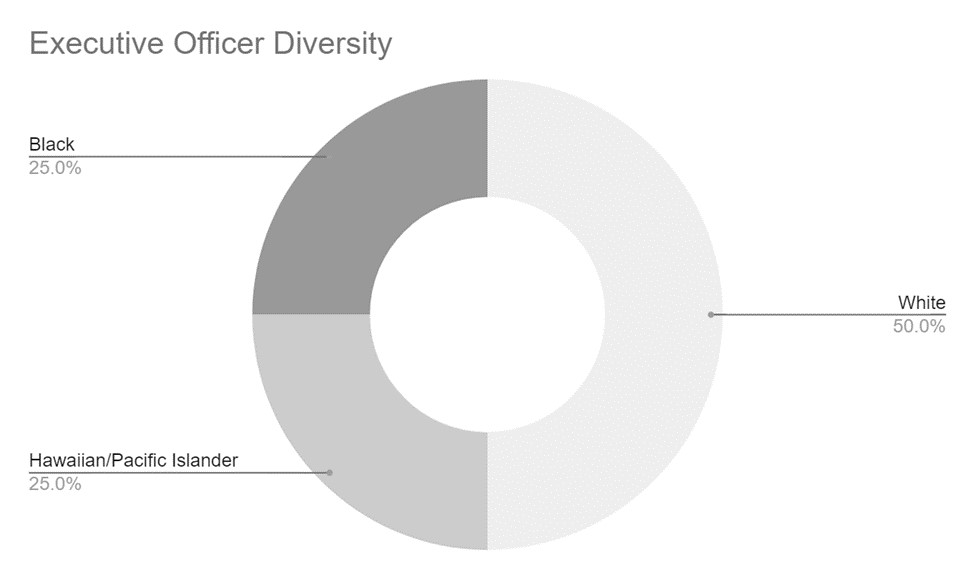 executive officer diversity.jpg